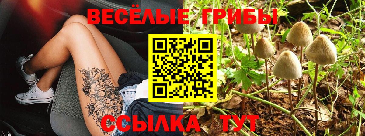 Галлюциногенные грибы мухоморы  Вход с VPN  Каменка 